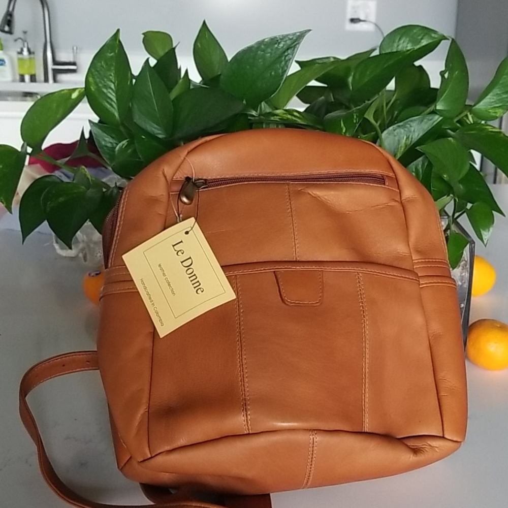 Brown leather backpack